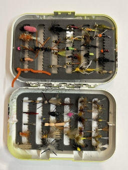 Fliegen-Set 50 Stück mit Fliegendose freie Auswahl 